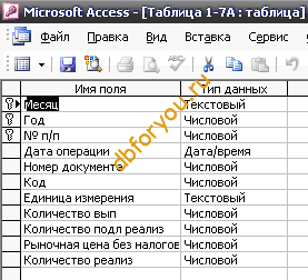    ()     MS Access